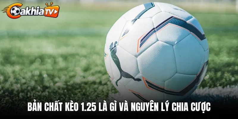 Bản chất kèo 1.25 là gì và nguyên lý chia cược