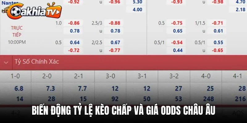 Biến động tỷ lệ kèo chấp và giá odds châu Âu