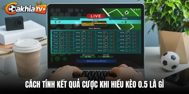 Cách tính kết quả cược khi hiểu kèo 0.5 là gì