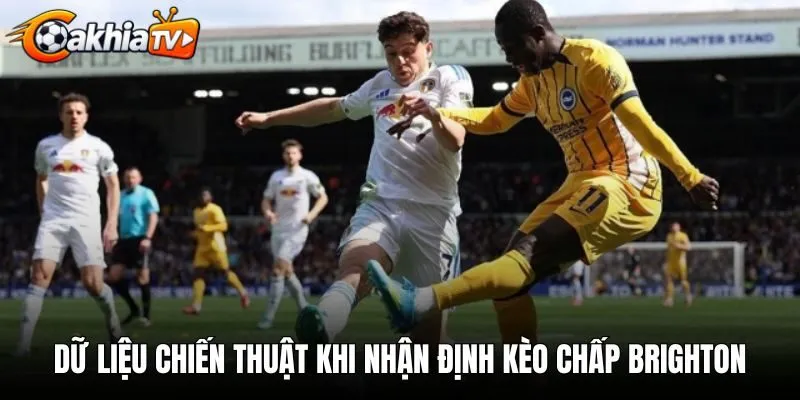 Dữ liệu chiến thuật khi nhận định kèo chấp Brighton