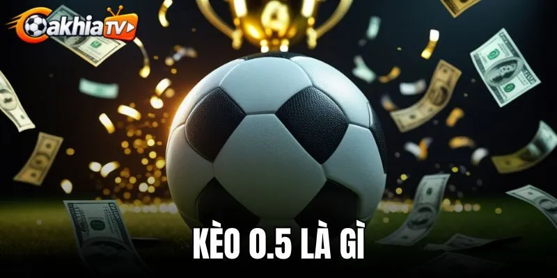 Kèo 0.5 Là Gì - Cách Đọc Tỷ Lệ Chấp Nửa Trái Chuẩn Xác