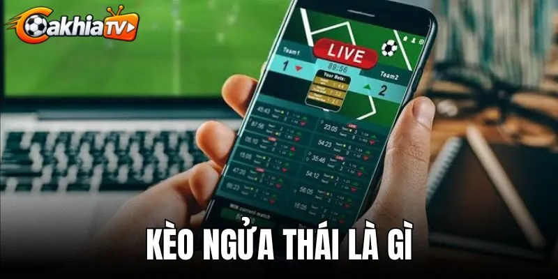 Kèo Ngửa Thái Là Gì - Sự Thật Và Cách Đọc Chuẩn 100%