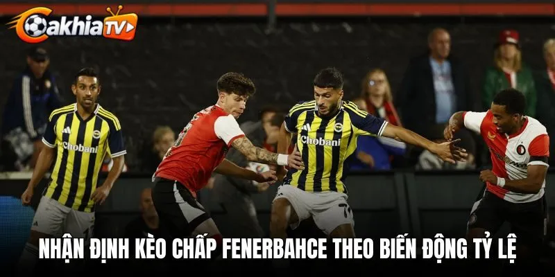 Kinh nghiệm nhận định kèo chấp Fenerbahce theo biến động tỷ lệ