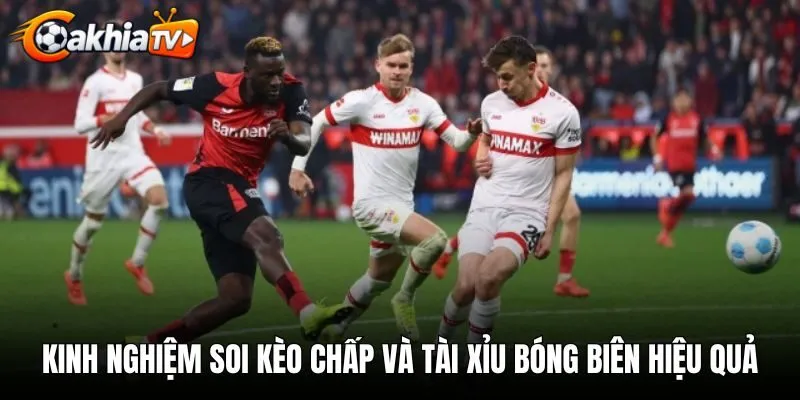 Kinh nghiệm soi kèo chấp và tài xỉu bóng biên hiệu quả