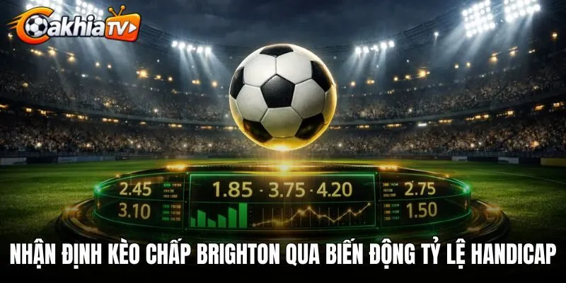 Nhận định kèo chấp Brighton qua biến động tỷ lệ handicap
