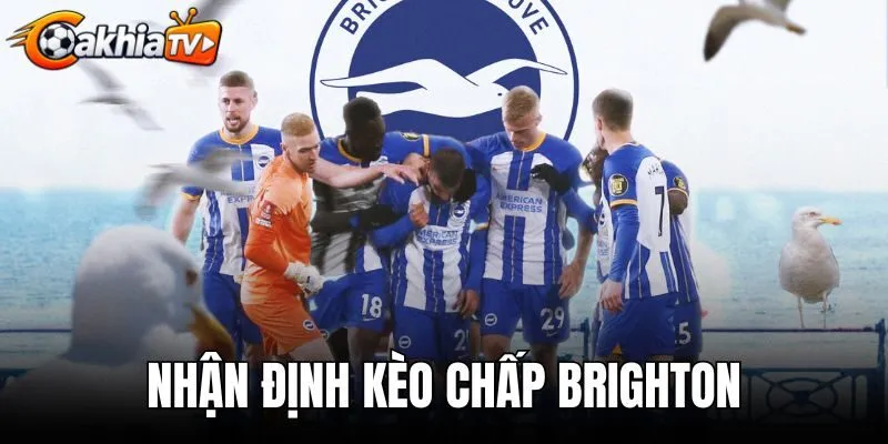 Nhận Định Kèo Chấp Brighton - Soi Tỷ Lệ Odds Chuẩn Xác