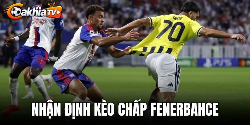 Nhận Định Kèo Chấp Fenerbahce - Phân Tích Odds Chuẩn Xác