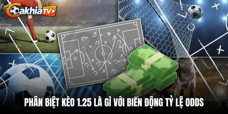 Phân biệt kèo 1.25 là gì với biến động tỷ lệ odds
