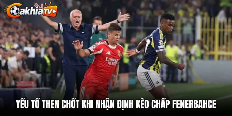 Yếu tố then chốt khi nhận định kèo chấp Fenerbahce chuẩn xác
